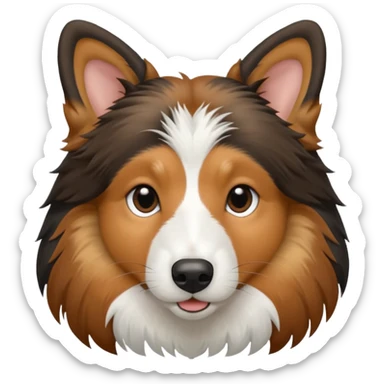 tricolor shetland sheepdog head, color black, white and brown sticker