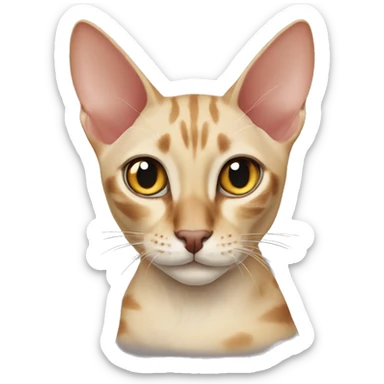 Havana oriental cat sticker