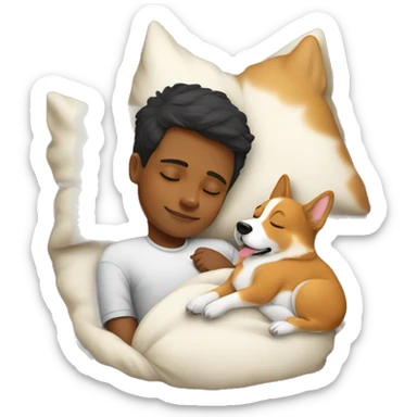 Sleeping Boy with corgi sticker