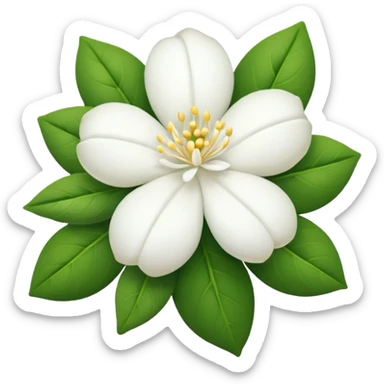 Quiero un emoji que sea una biznaga la flor careacterictica que se llena de jazmín  sticker