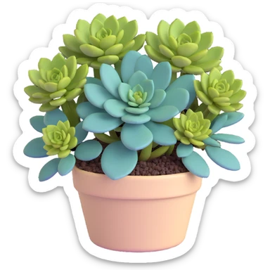 Sedum Pachyphyllum succulent with chubby blue-green leaves in a beige pot sticker