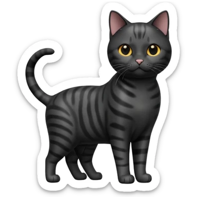 A 3D cartoon jet-black American Shorthair cat, smooth shiny coat, subtle reflections, balanced light contrast, Memoji-style realism. full body or half body. sticker