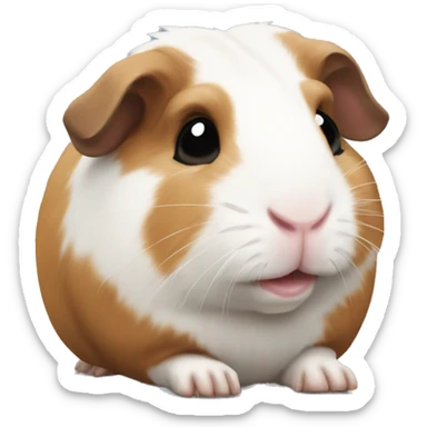 Guineapig  sticker
