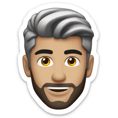 Zayn Malik sticker