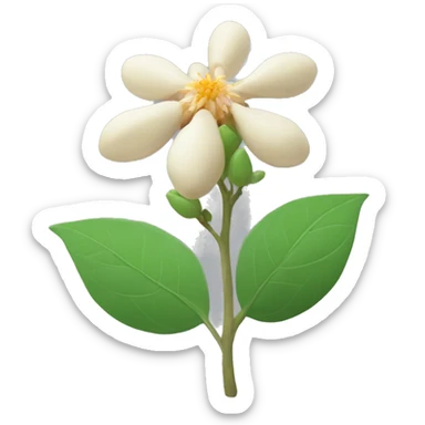 ashwagandha with flower sticker