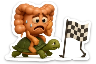  EMOJI STILE IPHONE 3D DI UN INTESTINO CON ESPRESSIONE ANGOSCIATA CHE CAMMINA SEDUTO IN GROPPA SUL GUSCIO DI UNA TARTARUGA IN ATTESA ESTENUANTE DI RAGGIUNGERE UN TRAGUARDO POCO PIù AVANTI, SULLA LORO DESTRA. IL TRAGUARDO è UNA BANDIERA A DUE PIEDI CON FASCIA A SCACCHI BIANCHI E NERI. iperrealistico 4k sticker