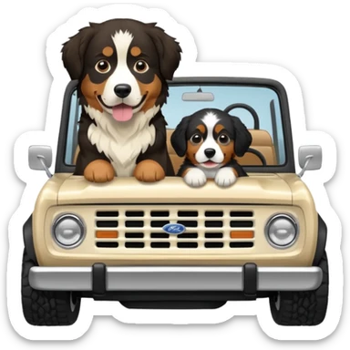 Cream colored ford bronco with no roof and an adult Bernese mountain dog in the seat sticker