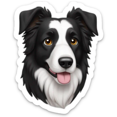 Bosserons croisés, border Collie, qui ressemble à un labrador complètement noir, avec les oreilles tombantes, et les poils courts, et un tout petit peu de blanc sur le dessus du museau sticker
