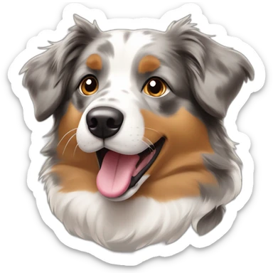 Australian shepherd dog with grey, white and light brown markings sticking it's tongue out sticker
