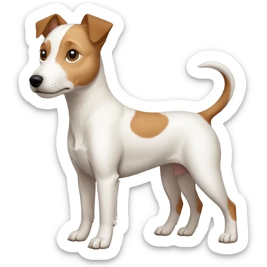 a full body slightly chubby white parson russell terrier looking dog the size of a kelpie with light brown long ears and a light brown patch on one eye and a large snout. the rest of the dog is completely white. forward facing sticker