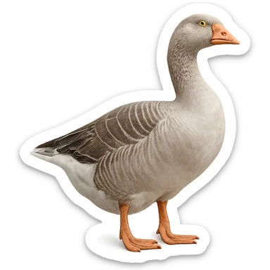 Goose sticker