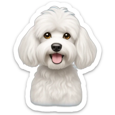 White Maltese poodle mix with long hair sticker