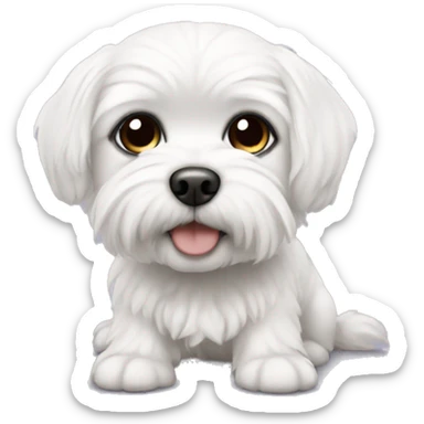 A cute Maltese with black eyes, short hair sticker