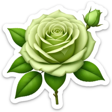 big bouquet Soft Green Tea Rose, luxuriant, leaf, bud sticker