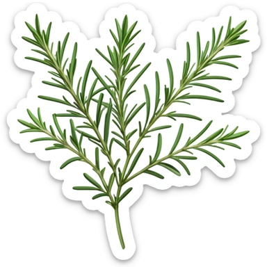 Cinematic Realistic Rosemary Emoji, Fragrant and fresh, with slender green stems covered in needle-like leaves, which release a distinctive herbal scent. The plant seems to exude energy, with soft sprigs of leaves stretching upwards. Soft glowing outline, capturing the essence of earthy healing and aromatic delight in a sprig of rosemary! sticker