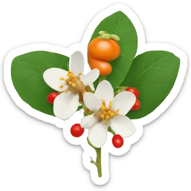 ashwagandha flowers with orange-red berrie sticker