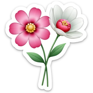 One pink flower and one white flower in transparent bouquet with red band  sticker