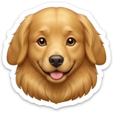 Dog's Admission, Documentation & Health
Requirements sticker