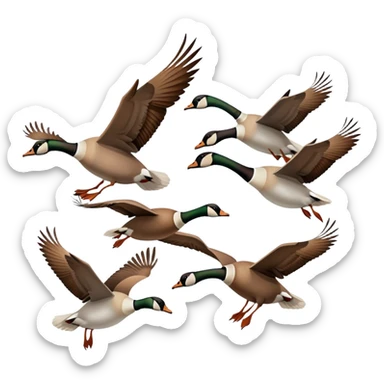 small Canadian geese flying in a classic V formation, lead goose at the right, easily identifiable as Canadian geese, for encouragement sticker