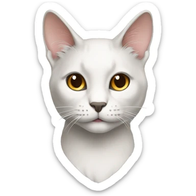 Chateauandets cat ash coloring sticker