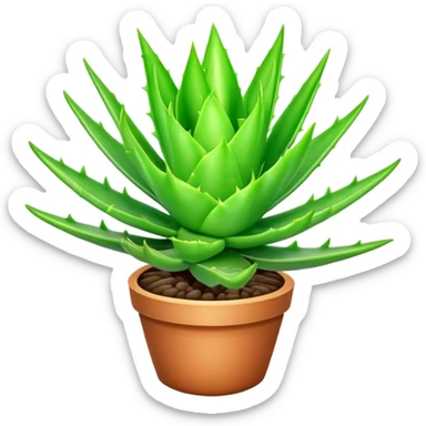 Cinematic Realistic Aloe Vera Emoji, Plump and succulent, with thick, fleshy leaves arranged in a star-like rosette. The vibrant green leaves have a slightly spiky texture, exuding a sense of resilience and healing. Soft glowing outline, capturing the essence of natural wellness and desert vitality in a flourishing aloe vera plant! sticker