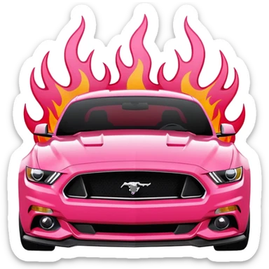Ford Mustang with center black strip design and in written 309 and in front real pnky sticker