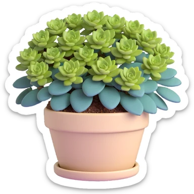 Sedum Pachyphyllum succulent with chubby blue-green leaves in a beige ceramic pot sticker