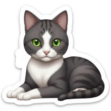 beautiful female solid dark grey cat with green eyes, white toes/paws and white patch on her chest rolling over sticker