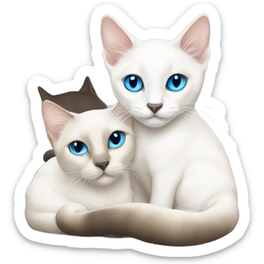 A white siamese kitten snuggled up to a white Siamese cat. Both cats are surrounded by many colourful fish  sticker