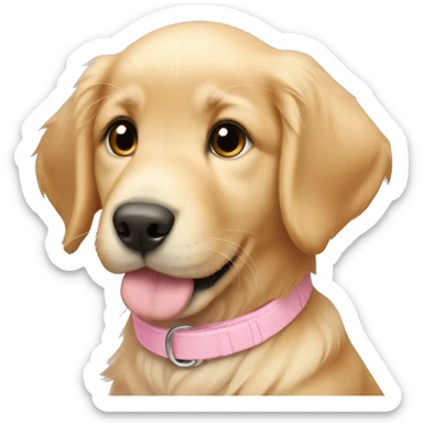Golden retriever puppy with a light pink collar that says Rosie sticker