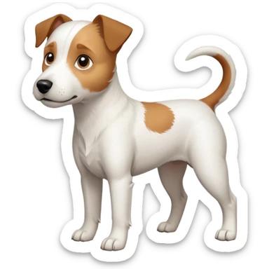 a full body slightly chubby white parson russell terrier looking dog the size of a kelpie with light brown long ears and a light brown patch on one eye and a large snout sticker