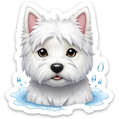 West Highland White Terrier with raindrops sticker
