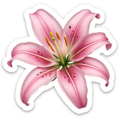 light pink lilium sticker