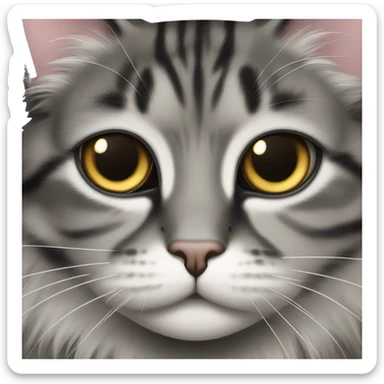 domestic long haired black and grey tabby cat slanted eyes sticker