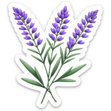 Lavender  sticker