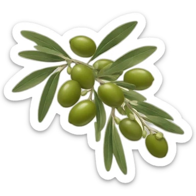 olive branch with buds sticker