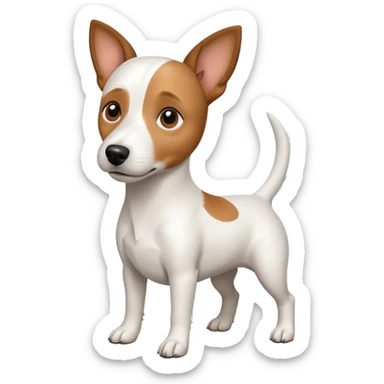 a full body white jack russel looking dog the size of a kelpie with light brown ears and a light brown patch on one eye, flopped down ears and a large snout sticker