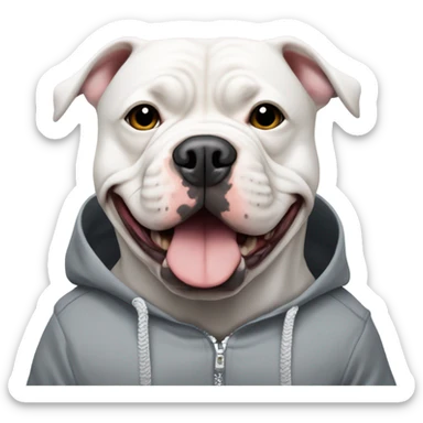 White American bully dog with grey patch over left eye wearing a hoodie  sticker