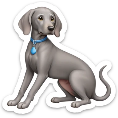 cinematic-[weimaraner]-realistic-full-body-sitting-emoji,-tail-resting-loosely-beside-its-paws,-head-tilted-dramatically, -sleek-[grey blue]-fur,-simplified-yet-realistic-focused-features,-highly-detailed,-glowing-with-an-almost-sarcastic-glow sticker