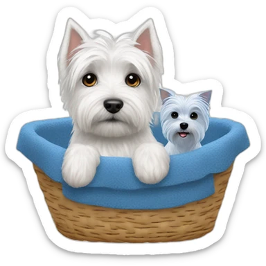West Highland white terrier and blue dog in way too small dog basket sticker