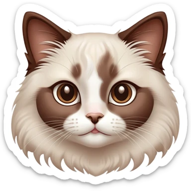 Cinematic Adorable Chocolate-Point Ragdoll Cat Portrait Emoji, Head tilted cutely with big, sparkling eyes, sleek brown and white tones with a sweet white nose, Simplified yet irresistibly adorable features, highly detailed, glowing with a soft, warm glow, high shine, affectionate and playful, stylized with a touch of whimsy, bright and endearing, soft glowing outline, capturing the essence of a curious and loving kitten, so cute it feels like it could leap out of the screen and snuggle up for a cuddle! sticker
