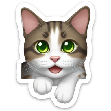 Dark Brown and white tabby cat with green eyes, in a box sticker
