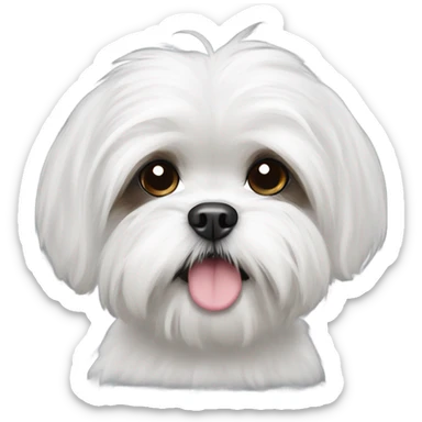 Black shih tzu Maltese sticker