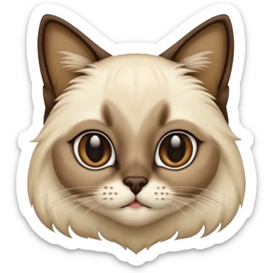 
Siamese cat: long hair fur sticker