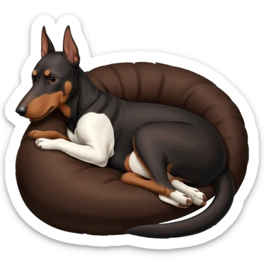 doberman dog sleeping  sticker