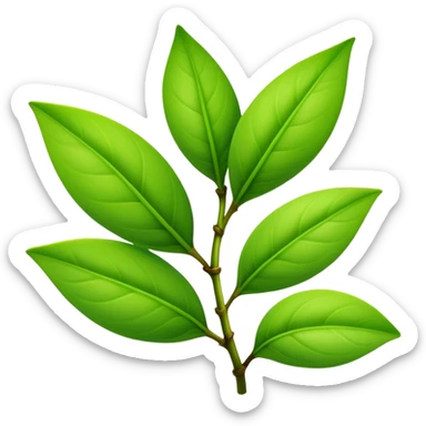 Fresh green tea buds with young tender leaves sticker