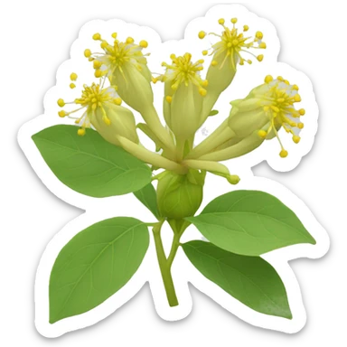 Ashwagandha flower with greenish-yellow petals and a central cluster of tiny yellow stamens sticker