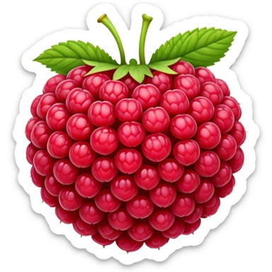 raspberry sticker