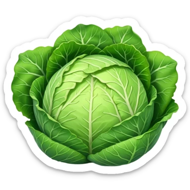  Shredded cabbage    sticker