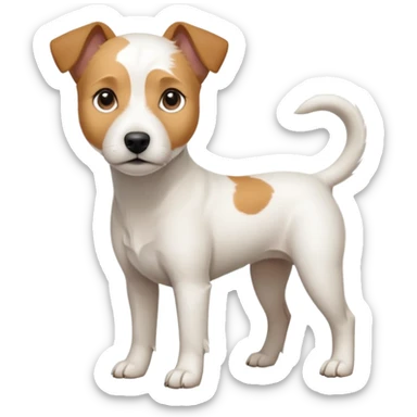 a full body slightly chubby white parson russell terrier looking dog the size of a kelpie with light brown long ears and a light brown patch on one eye and a large snout. the rest of the dog is completely white sticker